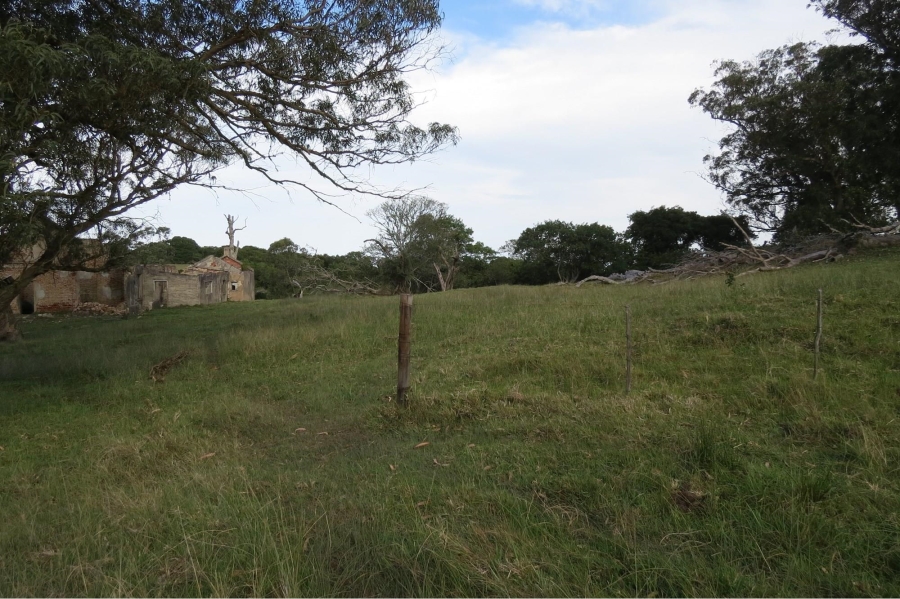 0 Bedroom Property for Sale in Colleen Glen Eastern Cape